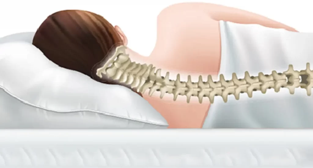spine support