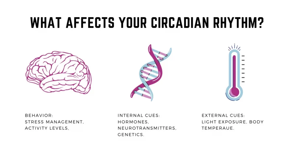 circadian rhythm effect